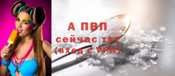 СК Абинск