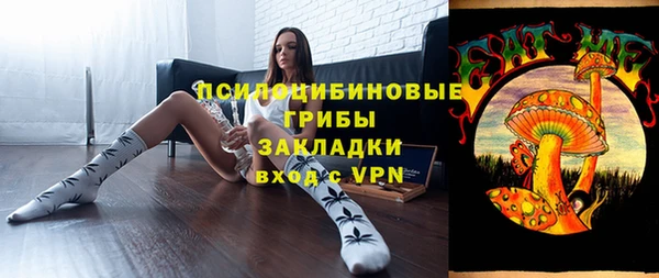 дурь Алексеевка
