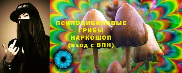 прущий лед Алексин