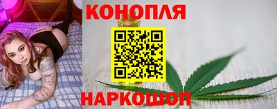крисы Пыть-Ях