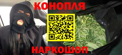 крисы Пыть-Ях